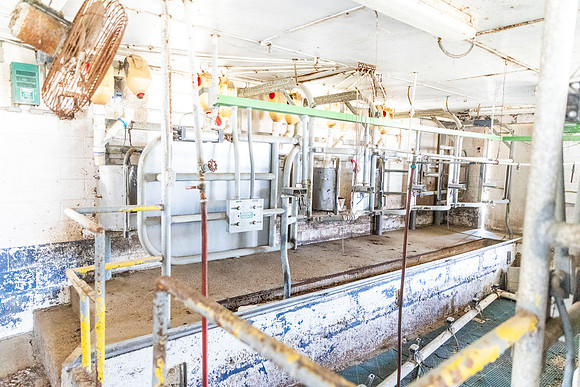 SP25 SAU Dairy Barn 22