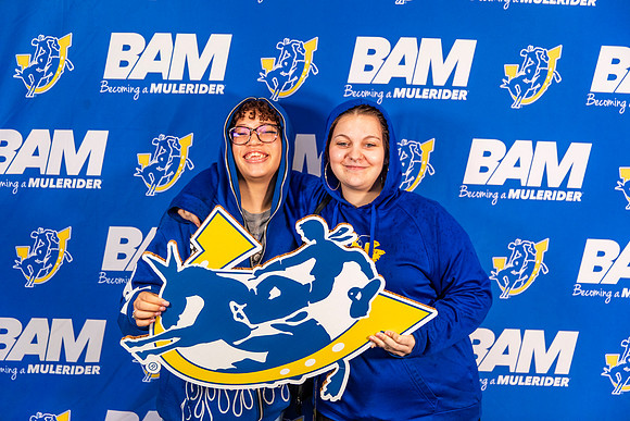 BAM 6-4_80