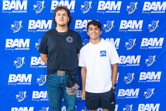 BAM 7.16_34