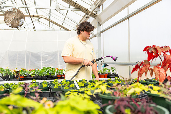 SP25 SAU Greenhouse 23