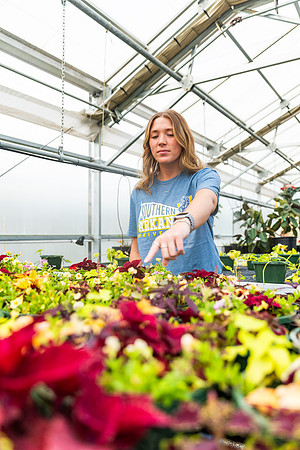 SP25 SAU Greenhouse 14