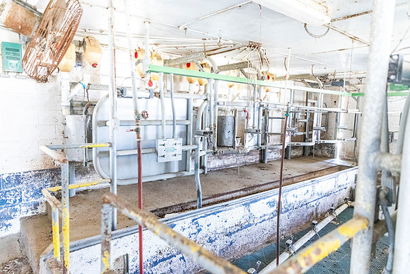 SP25 SAU Dairy Barn 21