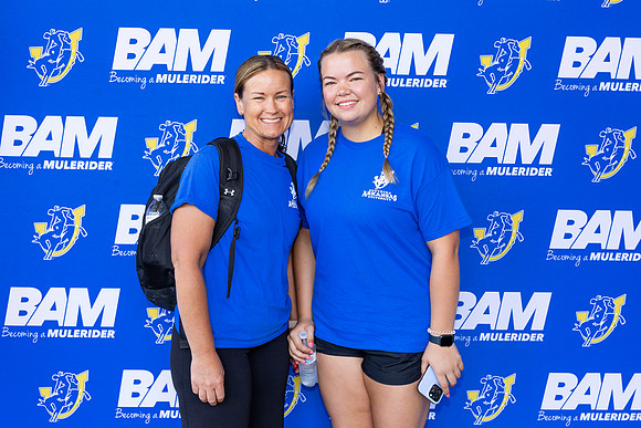 BAM 17
