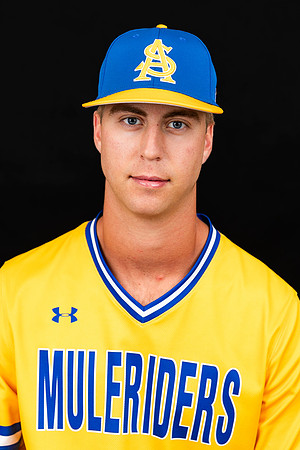 BaseballHeadshots360