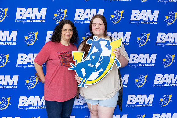 BAM 41