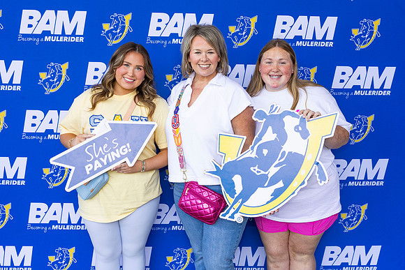 BAM 32