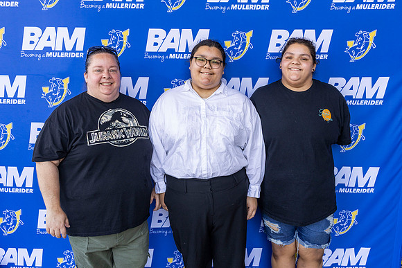 BAM 7-15 28