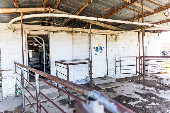 SP25 SAU Dairy Barn 24