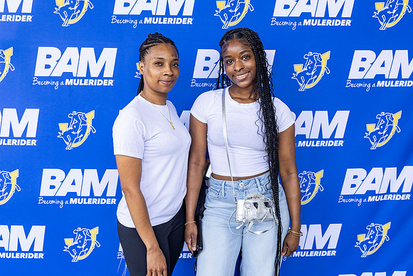 BAM 7-15 43