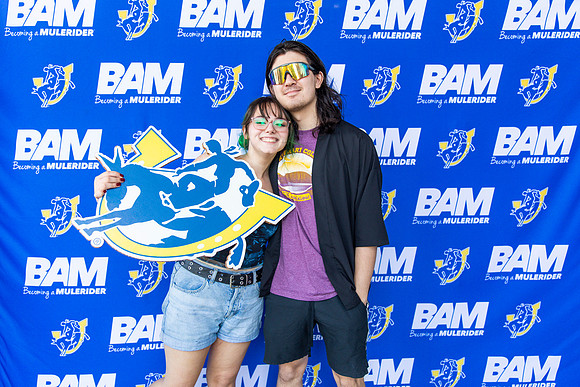 BAM 7.16_31