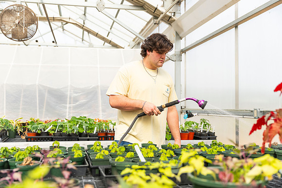 SP25 SAU Greenhouse 24
