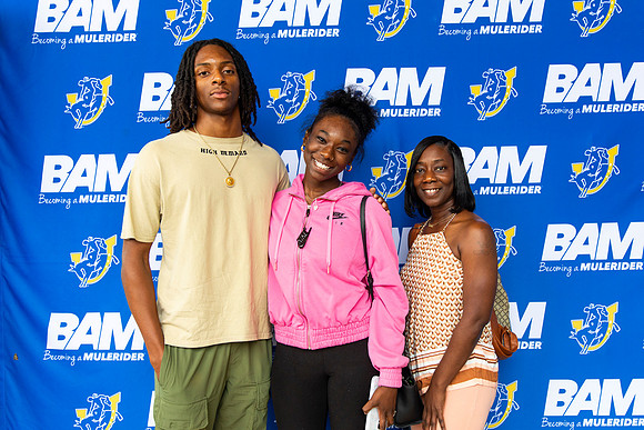 BAM 7.18_13
