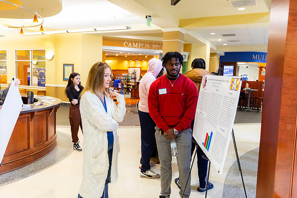 BSS Poster Session2024_11