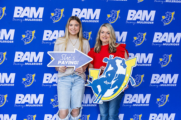 BAM 50