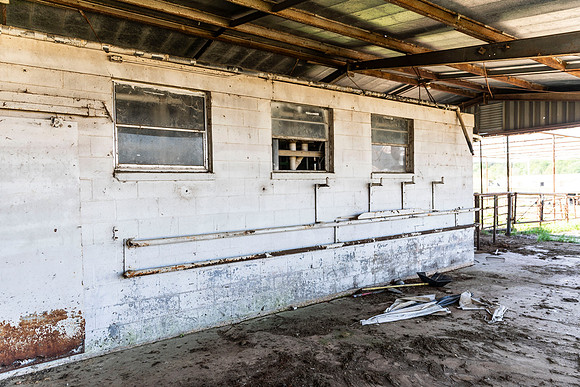 SP25 SAU Dairy Barn 23