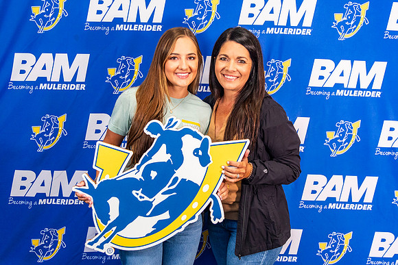 BAM 6-4_29